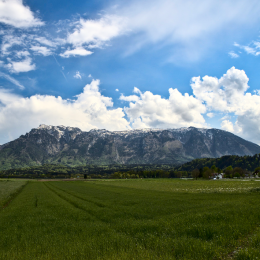 Grünes Gras vor dem Panorama des Untersbergs im BGL bei weiß blauem Himmel.